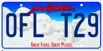 SD license plate 0FLT29
