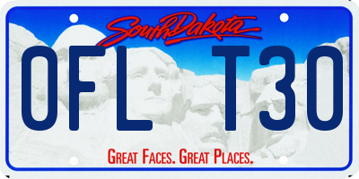 SD license plate 0FLT30