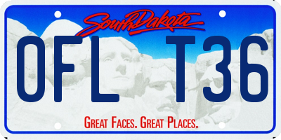 SD license plate 0FLT36