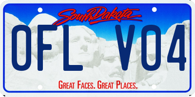 SD license plate 0FLV04