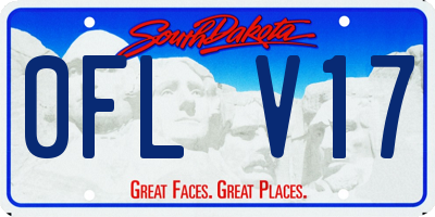 SD license plate 0FLV17