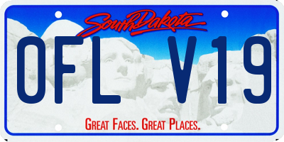 SD license plate 0FLV19