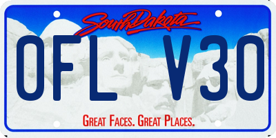 SD license plate 0FLV30