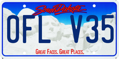 SD license plate 0FLV35
