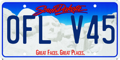 SD license plate 0FLV45