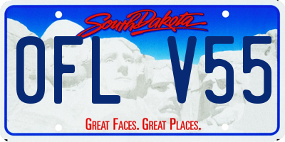 SD license plate 0FLV55