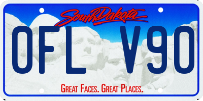 SD license plate 0FLV90