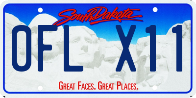 SD license plate 0FLX11