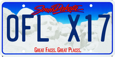 SD license plate 0FLX17