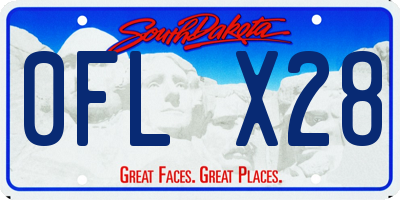 SD license plate 0FLX28