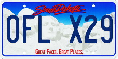 SD license plate 0FLX29