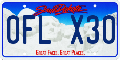 SD license plate 0FLX30