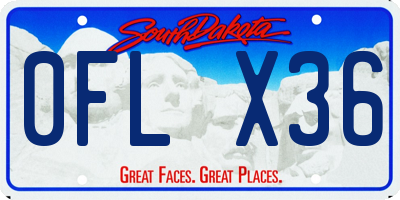 SD license plate 0FLX36