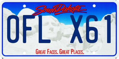 SD license plate 0FLX61