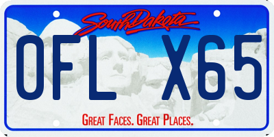 SD license plate 0FLX65