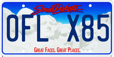 SD license plate 0FLX85