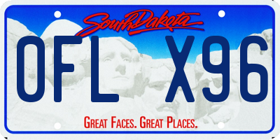 SD license plate 0FLX96