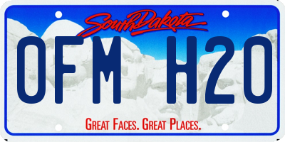 SD license plate 0FMH20
