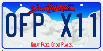 SD license plate 0FPX11