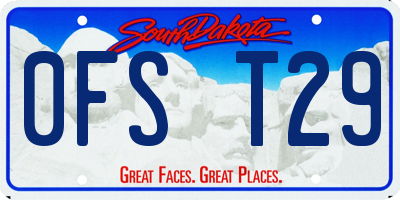 SD license plate 0FST29
