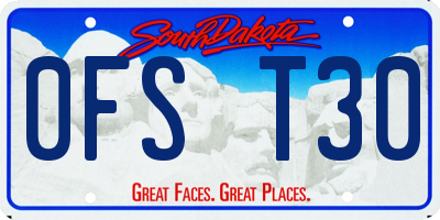 SD license plate 0FST30