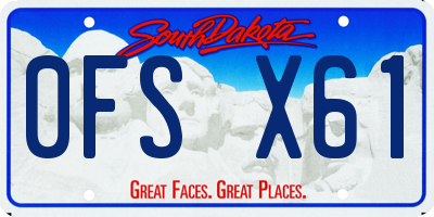 SD license plate 0FSX61