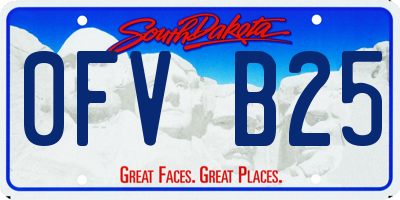 SD license plate 0FVB25