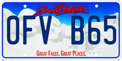 SD license plate 0FVB65