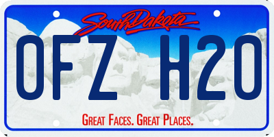 SD license plate 0FZH20