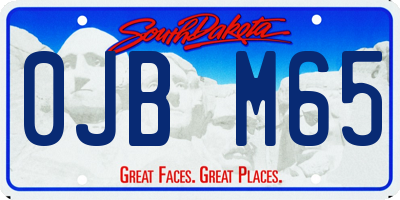 SD license plate 0JBM65