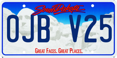SD license plate 0JBV25