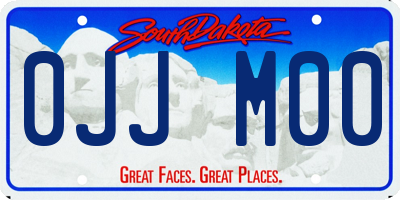 SD license plate 0JJM00