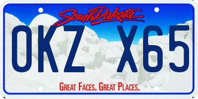 SD license plate 0KZX65