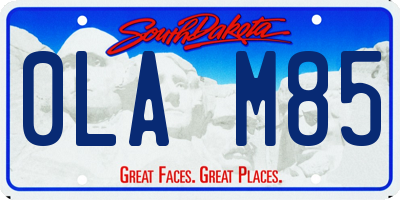 SD license plate 0LAM85