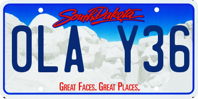 SD license plate 0LAY36
