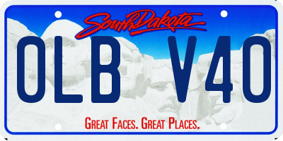 SD license plate 0LBV40