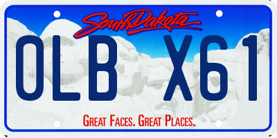 SD license plate 0LBX61