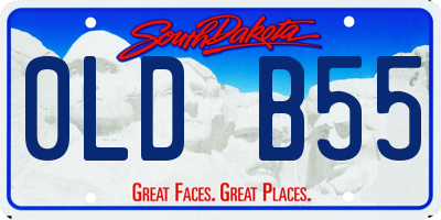 SD license plate 0LDB55