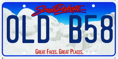 SD license plate 0LDB58