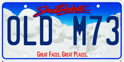 SD license plate 0LDM73