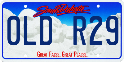 SD license plate 0LDR29