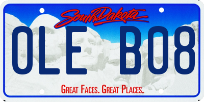SD license plate 0LEB08