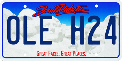 SD license plate 0LEH24