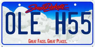 SD license plate 0LEH55