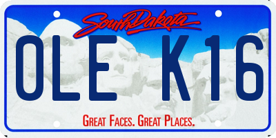 SD license plate 0LEK16