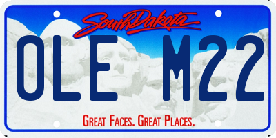 SD license plate 0LEM22
