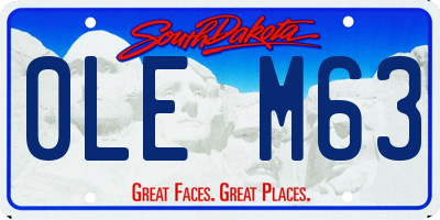 SD license plate 0LEM63