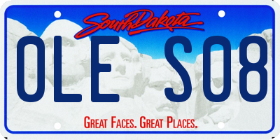 SD license plate 0LES08