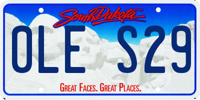 SD license plate 0LES29