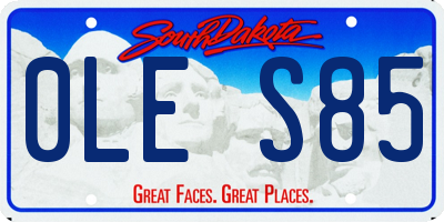 SD license plate 0LES85